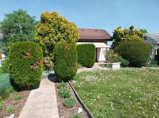 RUHEOASE MIT POOL AUF EIGENGRUND – KLEINGARTENHAUS IN 1210 WIEN (Frohes Schaffen), 349000 €, Immobilien-Häuser in 1210 Floridsdorf RUHEOASE MIT POOL AUF EIGENGRUND – KLEINGARTENHAUS IN 1210 WIEN (Frohes Schaffen), 349000 €, Immobilien-Häuser in 1210 Floridsdorf