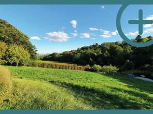 KEIN BAULAND ABER GELEGENHEIT IM PARADIES, 849000 €, Immobilien-Grund und Boden in 1190 Döbling