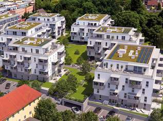 Penthouse im Graumann-Park: Nachhaltig mit Kühlung, direkt im Zentrum, 428500 €, Immobilien-Wohnungen in 4050 Traun