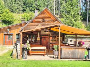 Bad Mitterndorf: Almhütte!! auf Eigengrund mit Nebengebäuden, 699000 €, Immobilien-Gewerbeobjekte in 8983 Bad Mitterndorf