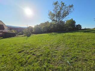 Großzügiges Grundstück mit Altbestand in sonniger Südwestlage, 360000 €, Immobilien-Grund und Boden in 5211 Friedburg Großzügiges Grundstück mit Altbestand in sonniger Südwestlage, 360000 €, Immobilien-Grund und Boden in 5211 Friedburg