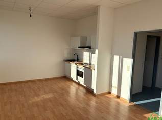 PERFEKT GESCHNITTENER SINGLEHIT *MIT KÜCHE*, 731.99 €, Immobilien-Wohnungen in 1100 Favoriten