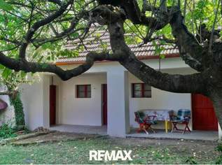Ein malerisches Refugium der Ruhe Im Weinviertel - Charmantes, idyllisches Landhaus mit großem Garten und getrennt begehbarem Ferienappartement, auch als Atelier geeignet!, 298000 €, Immobilien-Häuser in 2143 Großkrut Ein malerisches Refugium der Ruhe Im Weinviertel - Charmantes, idyllisches Landhaus mit großem Garten und getrennt begehbarem Ferienappartement, auch als Atelier geeignet!, 298000 €, Immobilien-Häuser in 2143 Großkrut