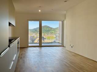 Ein Zuhause mit Ausblick - moderne 2-Zimmer-Mietwohnung im 9. Liftstock!, 1000 €, Immobilien-Wohnungen in 8020 