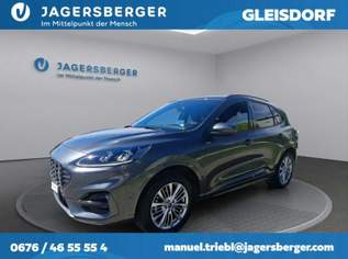 Kuga St Line X PHEV, 25987 €, Auto & Fahrrad-Autos in 8041 Liebenau Kuga St Line X PHEV, 25987 €, Auto & Fahrrad-Autos in 8041 Liebenau