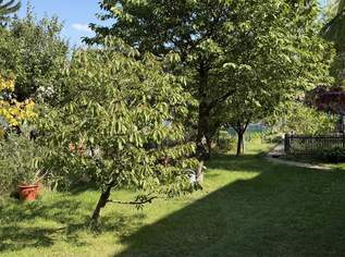 Villenetage mit 650 m² Eigengarten und Garage in Bestlage Wien-Mauer | ZELLMANN IMMOBILIEN, 799000 €, Immobilien-Wohnungen in 1230 Liesing