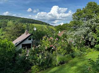 Provisionsfrei - Kritzendorf 1600 m2 uneinsichtiges Gartenparadies. Wohntraum in absoluter Grünruhelage, 770000 €, Immobilien-Häuser in 3420 Gemeinde Klosterneuburg