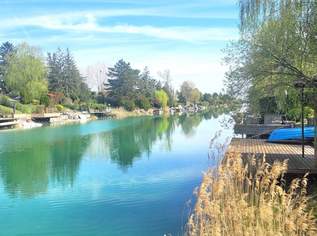 Einmalige Rückzugsoase direkt am Donau-Oder-Kanal, 359000 €, Immobilien-Häuser in 2301 Gemeinde Groß-Enzersdorf