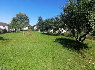 Lust auf ein Eigenheim?, 280000 €, Immobilien-Grund und Boden in 2232 Deutsch-Wagram Lust auf ein Eigenheim?, 280000 €, Immobilien-Grund und Boden in 2232 Deutsch-Wagram