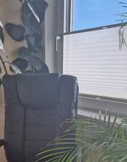 Chefsessel aus Kunstleder, braun, 55 €, Haus, Bau, Garten-Möbel & Sanitär in 3100 St. Pölten
