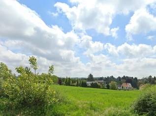 Baugrundstück in Bestlage Nähe Wolkersdorf/Weinviertel, 335000 €, Immobilien-Grund und Boden in 2123 Schleinbach Baugrundstück in Bestlage Nähe Wolkersdorf/Weinviertel, 335000 €, Immobilien-Grund und Boden in 2123 Schleinbach