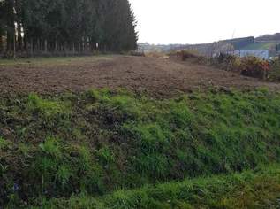NEUER PREIS Baugrundstück, 46000 €, Immobilien-Grund und Boden in 7551 Stegersbach