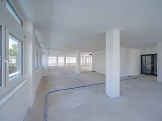 Erstbezug: Moderne Bürofläche in Hietzinger Bestlage, 8222.75 €, Immobilien-Gewerbeobjekte in 1130 Hietzing