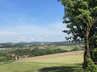 Landwirtschaftlicher Nutzgrund mit ca. 5 Ha - kleine Hofstatt mit Nebengebäuden, 349500 €, Immobilien-Gewerbeobjekte in 4785 Freinberg