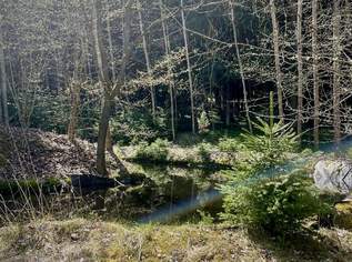 Autarkes Haus auf ca. 7670 m² mit Wald und Fischteich!, 625000 €, Immobilien-Häuser in 4240 Freistadt