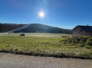 Sonniges Baugrundstück in Albersdorf – 740 qm - Privatverkauf (Provisionsfrei), 99000 €, Immobilien-Grund und Boden in 8200 Albersdorf
