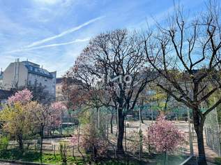 Charmante 2-Zimmer-Wohnung direkt am Wielandpark – mit Stellplatz und Grünblick!, 230000 €, Immobilien-Wohnungen in 1100 Favoriten