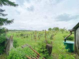 Romantisches Winzerhaus mit Wienblick und Weingarten, 498000 €, Immobilien-Häuser in 1210 Floridsdorf