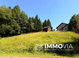 Bauland bei Burg Clam – ganz ohne Bauzwang, 76500 €, Immobilien-Grund und Boden in 4342 Baumgartenberg