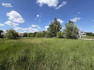 Ideales Grundstück für Ihr Eigenheim - gute Lage, perfekte Größe, 245200 €, Immobilien-Grund und Boden in 7100 Gemeinde Neusiedl am See