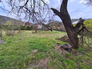 Attraktives Baugrundstück in Hainburg an der Donau, 199000 €, Immobilien-Grund und Boden in 2410 Gemeinde Hainburg an der Donau
