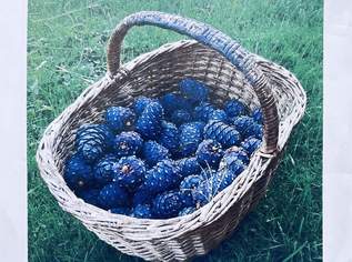 Zirbenzapfen 2026, 20 €, Marktplatz-Genuss & Kulinarik in 8684 Gemeinde Spital am Semmering