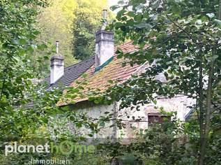 Erhaltenswertes Objekt im Grünland, 185000 €, Immobilien-Häuser in 2802 Hochwolkersdorf