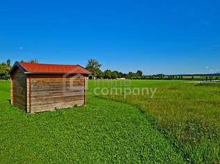 Ihr Traumgrundstück in Sipbachzell: 900m² mit Fernblick !, 235000 €, Immobilien-Grund und Boden in 4621 Sipbachzell Ihr Traumgrundstück in Sipbachzell: 900m² mit Fernblick !, 235000 €, Immobilien-Grund und Boden in 4621 Sipbachzell