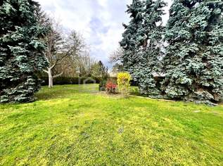 FREIZEIT - WOHNEN - NEUBAU -1.200m² Baurechtsgrund mit Haus sucht neue Besitzer!, 257000 €, Immobilien-Häuser in 1210 Floridsdorf FREIZEIT - WOHNEN - NEUBAU -1.200m² Baurechtsgrund mit Haus sucht neue Besitzer!, 257000 €, Immobilien-Häuser in 1210 Floridsdorf
