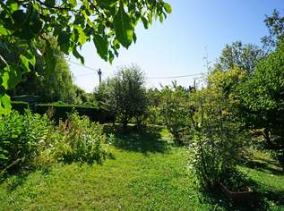 Kleingarten-Parzelle in Hietzing - Ober St. Veit beim Lainzer Tiergarten, 245000 €, Immobilien-Grund und Boden in 1130 Hietzing Kleingarten-Parzelle in Hietzing - Ober St. Veit beim Lainzer Tiergarten, 245000 €, Immobilien-Grund und Boden in 1130 Hietzing