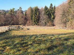 Ihr Platz zum Ankommen – Baugrundstück in ruhiger Lage auf der Schemerlhöhe nächst Laßnitzhöhe, 179000 €, Immobilien-Grund und Boden in 8076 Vasoldsberg