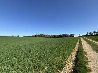 Attraktive Landwirtschaftsfläche in Eggendorf im Traunkreis, 1944000 €, Immobilien-Grund und Boden in 4622 Eggendorf im Traunkreis Attraktive Landwirtschaftsfläche in Eggendorf im Traunkreis, 1944000 €, Immobilien-Grund und Boden in 4622 Eggendorf im Traunkreis