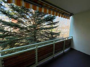 Gepflegte 3-Zimmer Familienwohnung mit Loggia in Grünruhelage, 1250 €, Immobilien-Wohnungen in 2344 Gemeinde Maria Enzersdorf