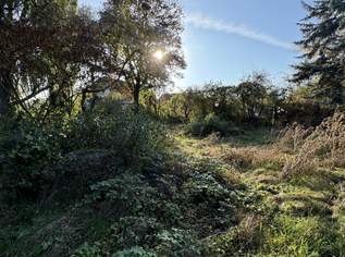 Tolles Grundstück in Biedermannsdorf, 410000 €, Immobilien-Grund und Boden in 2362 Gemeinde Biedermannsdorf