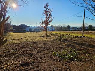 Baugrund mit Ferienhaus in Ostermiething, 285000 €, Immobilien-Grund und Boden in 5121 Ostermiething