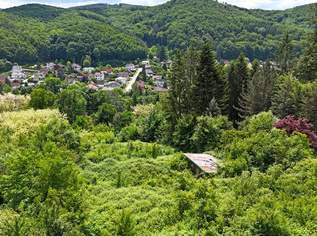 Baugrund in Südlage am Sagberg, 360000 €, Immobilien-Grund und Boden in 3002 Purkersdorf