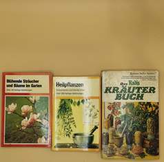 Pflanzen- & Kräuterbücher, 3 Stk.: Radis Kräuterbuch, Heilpflanzen, Blühende Sträucher, 12 €, Marktplatz-Bücher & Bildbände in 3200 Gemeinde Ober-Grafendorf