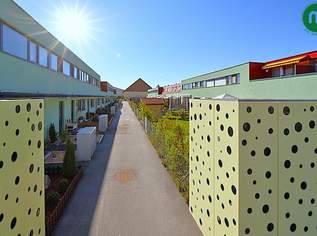 Reihenhaus mit Terrasse, Pool und Keller in Breitenleer Ruhelage, 389000 €, Immobilien-Häuser in 1220 Donaustadt