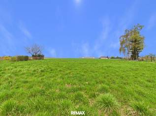 Großes Grundstück in TOP LAGE (Rebhahnweg) Zum Bauen oder als sichere Geldanlage, 1749600 €, Immobilien-Grund und Boden in 4060 Leonding Großes Grundstück in TOP LAGE (Rebhahnweg) Zum Bauen oder als sichere Geldanlage, 1749600 €, Immobilien-Grund und Boden in 4060 Leonding