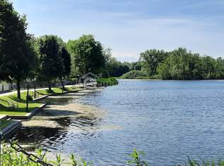 Frühjahrspreis! 4392 m² Grund in Thallern, 229000 €, Immobilien-Grund und Boden in 3454 Thallern Frühjahrspreis! 4392 m² Grund in Thallern, 229000 €, Immobilien-Grund und Boden in 3454 Thallern