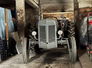 Massey Ferguson TED 20 mit Typenschein!!!!!Benzinmotor, 6900 €, Auto & Fahrrad-Traktoren & Nutzfahrzeuge in 8190 Aschau