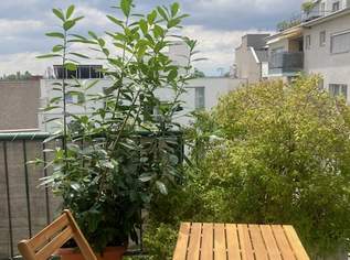 45m² m Wohnung, Terrasse, Erholungsgebiet Alte Donau, für nur eine Person