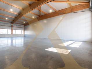 Neuwertige & beheizte Lager- oder Gewerbehalle mit Rolltor in Arbing (Bezirk Perg) zu vermieten!, 1565.44 €, Immobilien-Gewerbeobjekte in 4341 Arbing Neuwertige & beheizte Lager- oder Gewerbehalle mit Rolltor in Arbing (Bezirk Perg) zu vermieten!, 1565.44 €, Immobilien-Gewerbeobjekte in 4341 Arbing