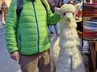 Ich suche Dich, null €, Marktplatz-Kontakte & Bekanntschaften in 9500 Villach