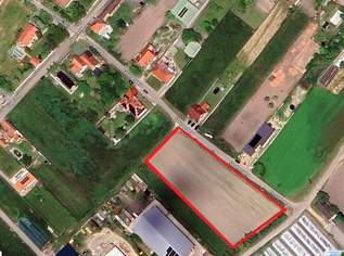 Traumhaftes Baugrundstück in Natioalpark-Gemeinde, 76 €, Immobilien-Grund und Boden in 7162 Tadten