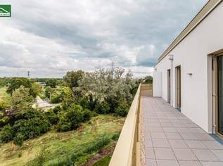 Hervorragende Raumaufteilungen im begehrte Niedrig-Energie-Standard – Grün – grüner – Hirschfeld, 398000 €, Immobilien-Wohnungen in 1210 Floridsdorf Hervorragende Raumaufteilungen im begehrte Niedrig-Energie-Standard – Grün – grüner – Hirschfeld, 398000 €, Immobilien-Wohnungen in 1210 Floridsdorf