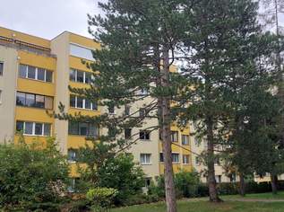 Schöne 2 Zimmer Wohnung mit Lift - Investment oder selber wohnen (dzt. vermietet!), 188000 €, Immobilien-Wohnungen in 2500 Gemeinde Baden