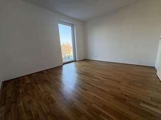 Stilvolle, neuwertige 2-Zimmer-Wohnung mit Balkon in der Dauphinestraße 190 - Top 2.3, 851.51 €, Immobilien-Wohnungen in Oberösterreich Stilvolle, neuwertige 2-Zimmer-Wohnung mit Balkon in der Dauphinestraße 190 - Top 2.3, 851.51 €, Immobilien-Wohnungen in Oberösterreich