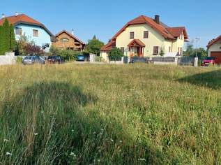 "s´beste Eck - Baugrundstück in Groß Enzersdorf", 299000 €, Immobilien-Grund und Boden in 2301 Mühlleiten