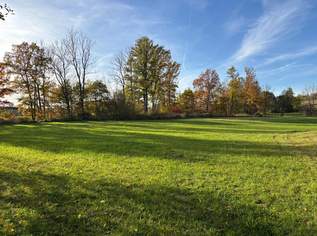 Großzügiges Grundstück mit Stallgebäude in Kalling – ideal zur Pferdehaltung, 148000 €, Immobilien-Grund und Boden in 4776 Diersbach Großzügiges Grundstück mit Stallgebäude in Kalling – ideal zur Pferdehaltung, 148000 €, Immobilien-Grund und Boden in 4776 Diersbach